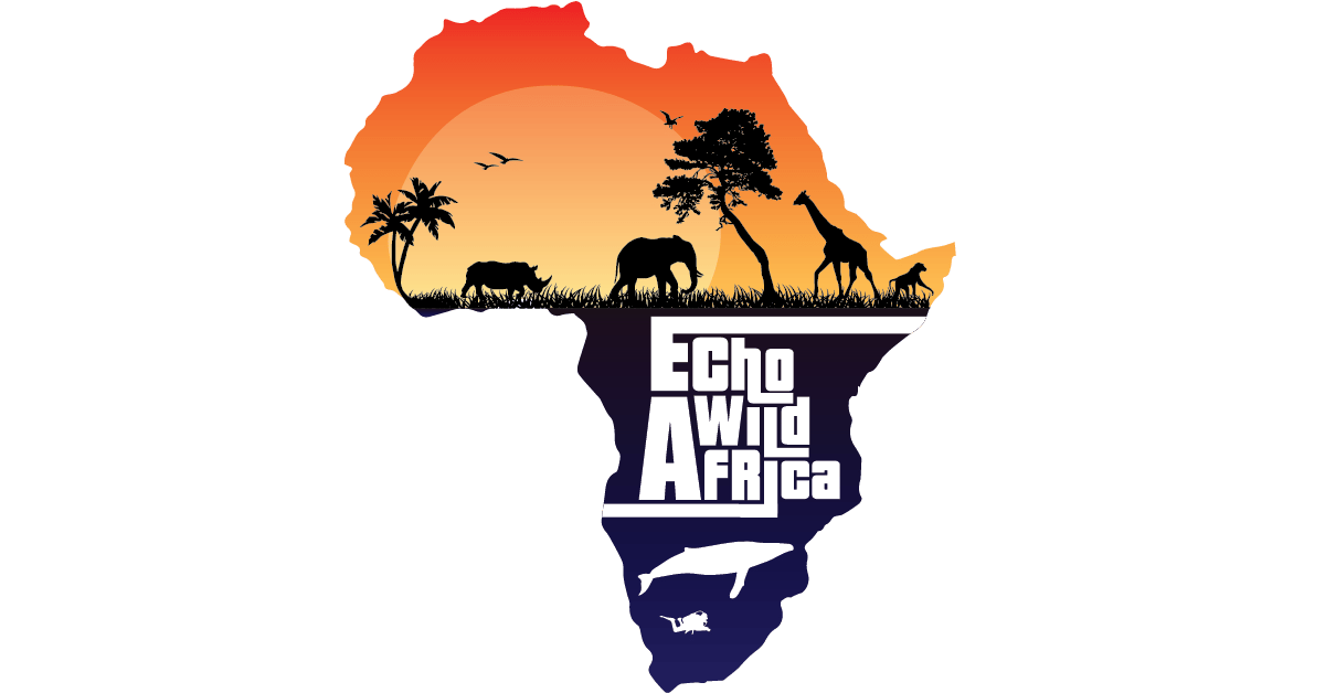 Home - Echo Wild Africa